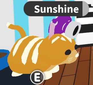 3D Camera Hat — item image