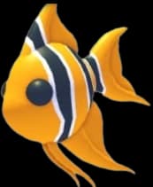 Angelfish — item image