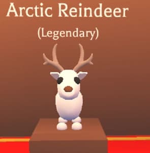 Arctic Reindeer — item image