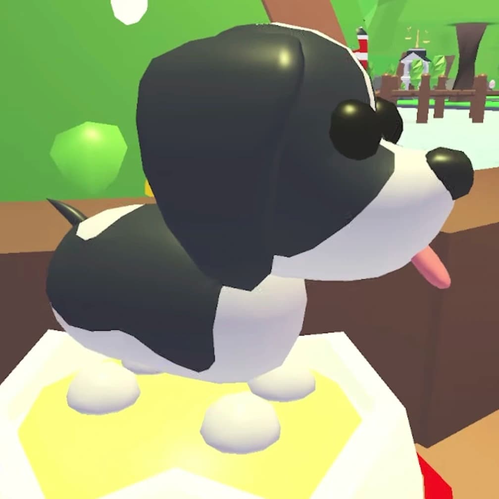 Black Springer Spaniel — item image