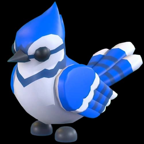 Blue Jay (Pet) — item image