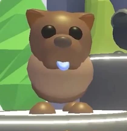 Chocolate Chow-Chow — item image