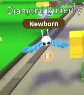 Diamond Butterfly — item image