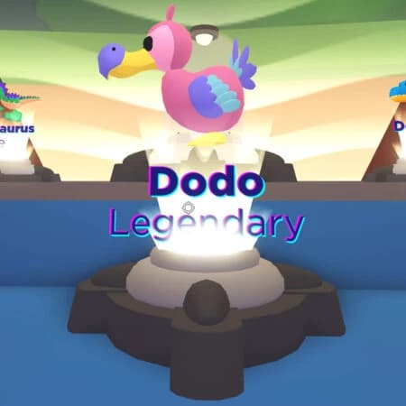 Dodo — item image