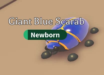 Giant Blue Scarab — item image