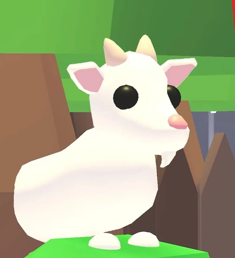 Goat — item image