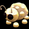 Golden Ladybug — item image