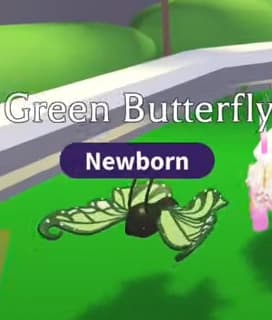 Green Butterfly — item image