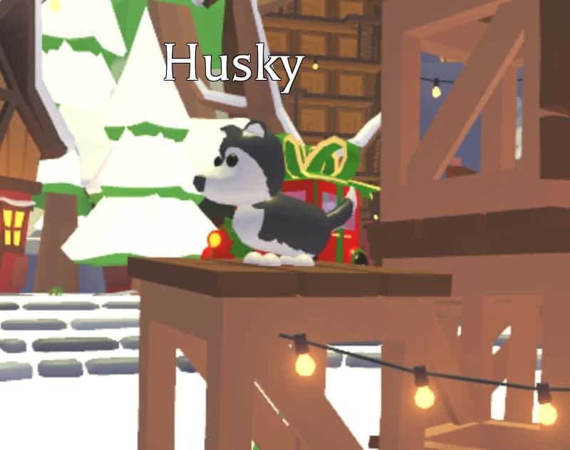 Husky — item image