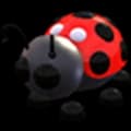 Ladybug — item image