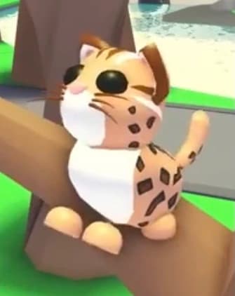 Leopard Cat — item image