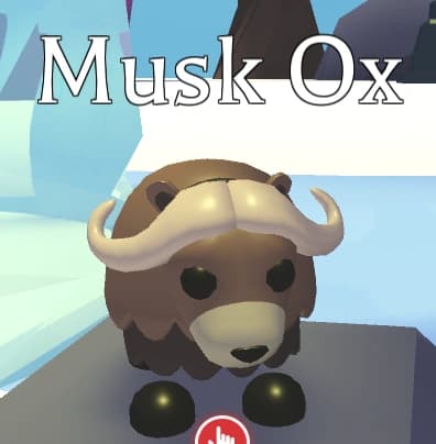 Musk Ox — item image
