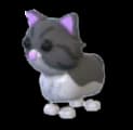 Persian Cat — item image