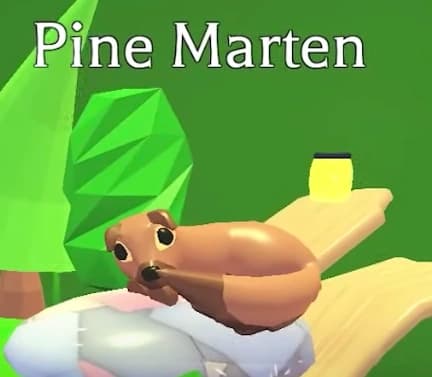 Pine Marten — item image
