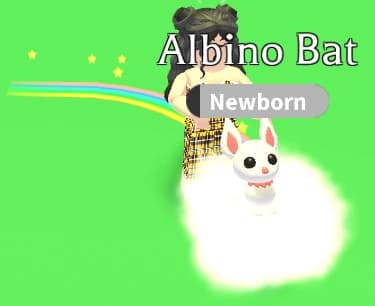 Rainbow Stroller — item image