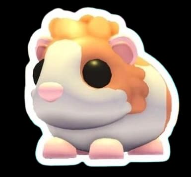 Red Dutch Guinea Pig — item image