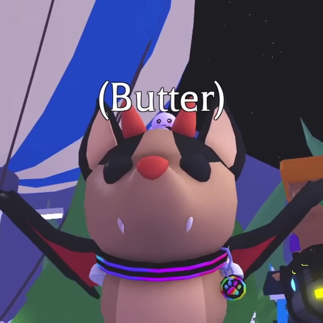 RGB Collar — item image