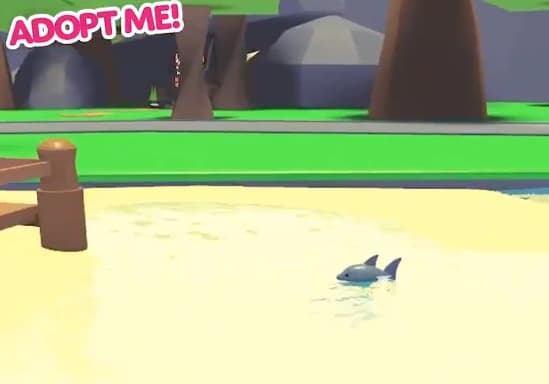 Shark — item image
