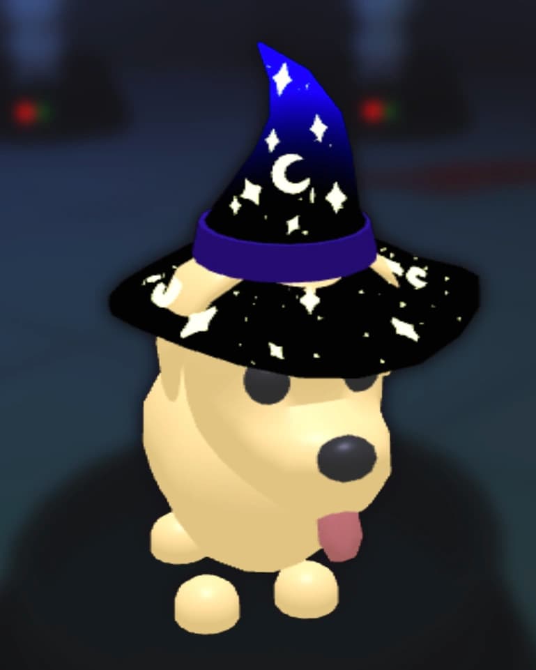 Sorcerer Hat — item image