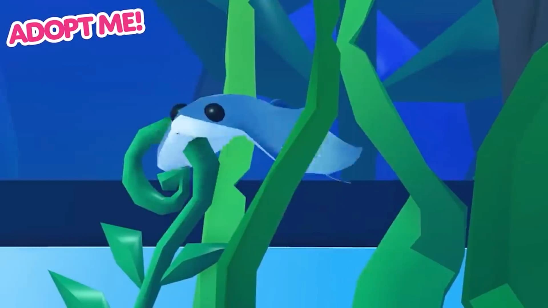 Stingray — item image