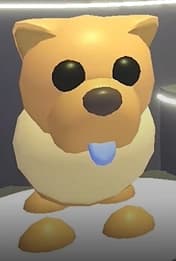 Tan Chow-Chow — item image
