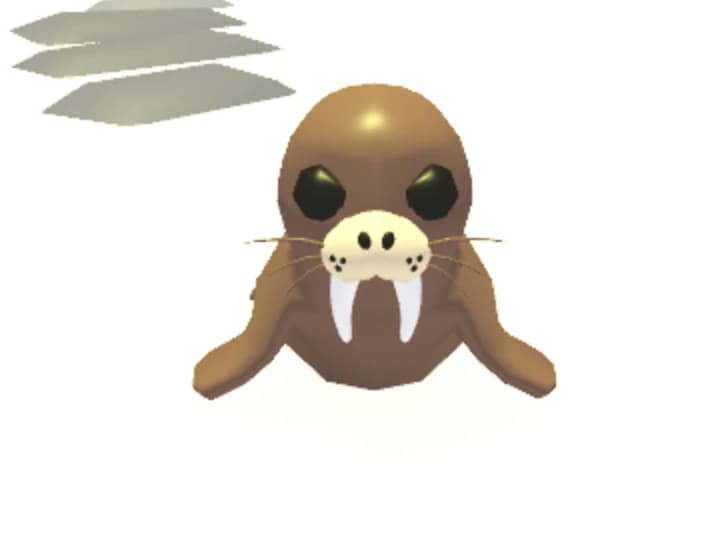 Walrus — item image