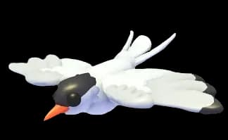 Arctic Tern — item image