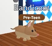Bandicoot — item image