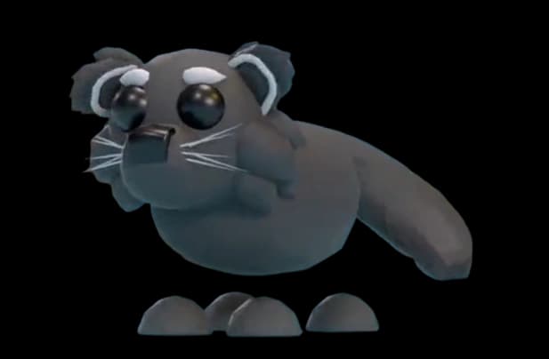 Binturong — item image