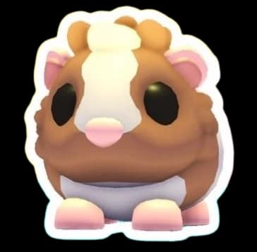 Chocolate Dutch Guinea Pig — item image
