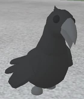 Crow — item image