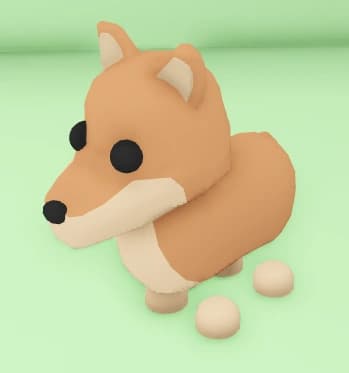 Dingo — item image