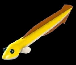 Eel — item image