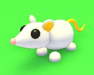 Golden Rat — item image