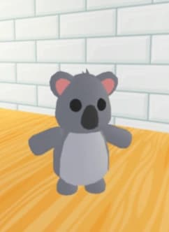 Koala — item image