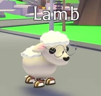 Lamb — item image