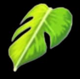 Monstera Leaf Cape — item image