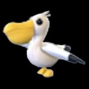 Pelican — item image
