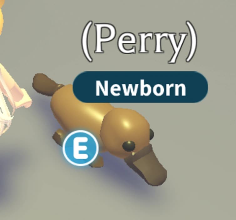 Platypus — item image
