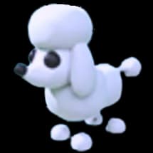 Poodle — item image