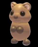 Quokka — item image