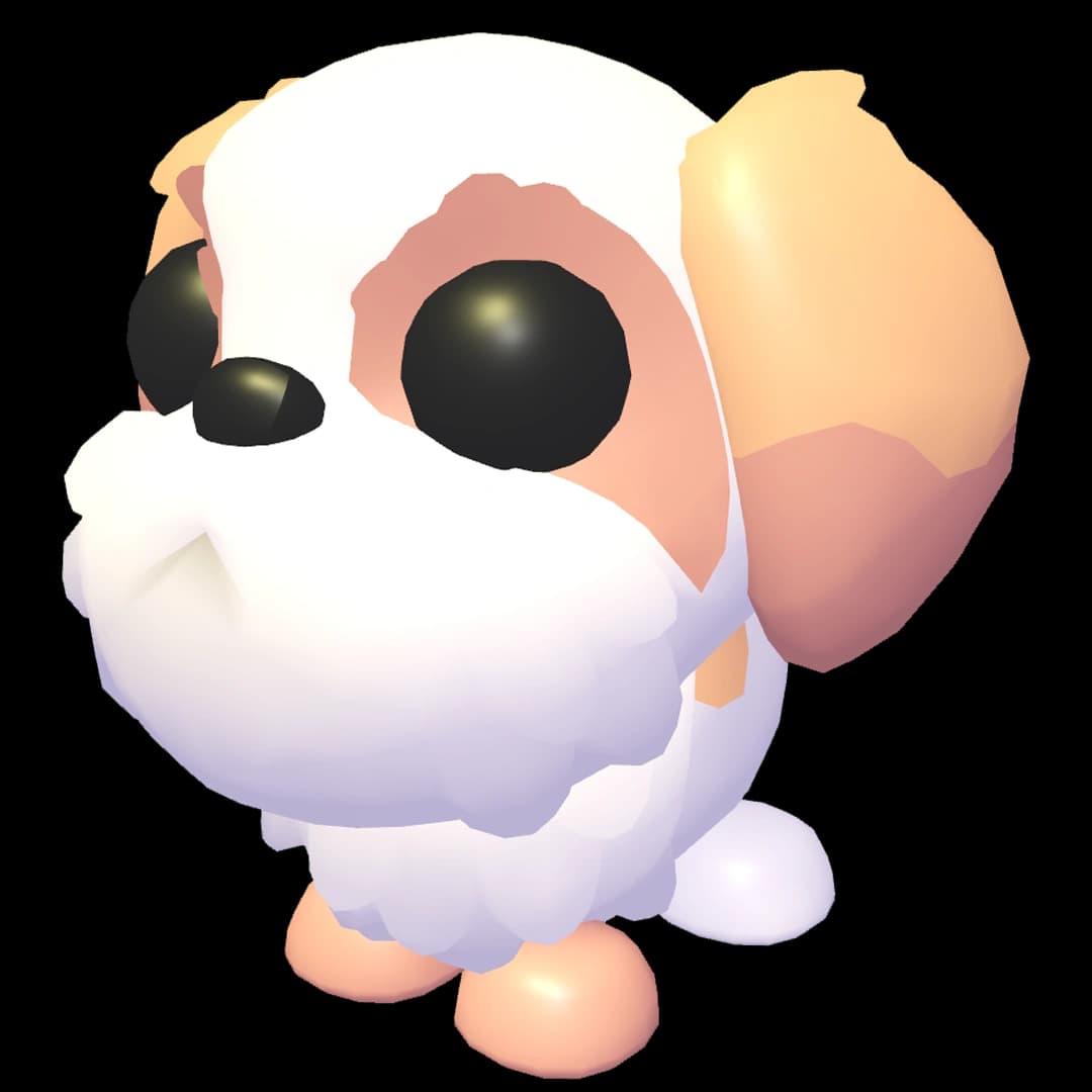 Shih Tzu — item image