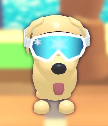Ski Goggles — item image