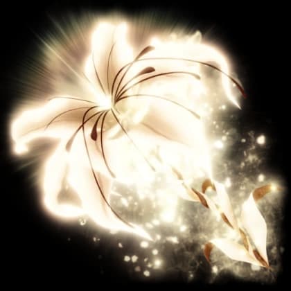Lily Parasol — item image