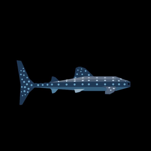 Whale Shark — item image