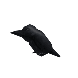 The Raven — item image
