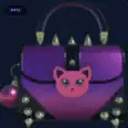 Shiny Purse — item image