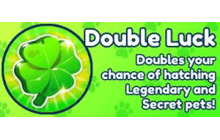 Double Luck — item image