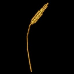 Wheat — item image